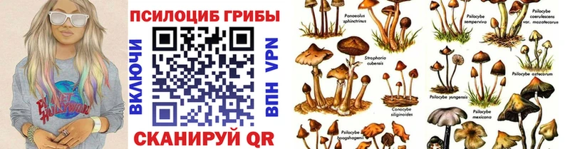 Галлюциногенные грибы прущие грибы  маркетплейс какой сайт  Болохово 