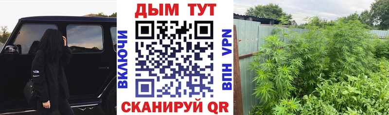 Конопля индика блэк спрут ССЫЛКА Болохово